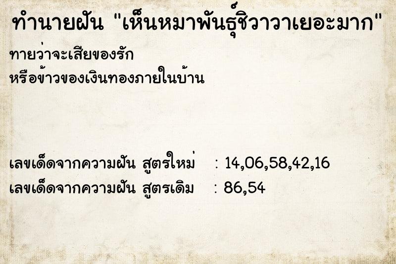 ทำนายฝันทำนายฝันเห็นหมาพันธุ์ชิวาวาเยอะมาก