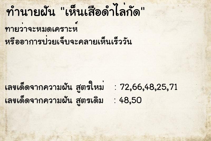 ทำนายฝันทำนายฝันเห็นเสือดำไล่กัด