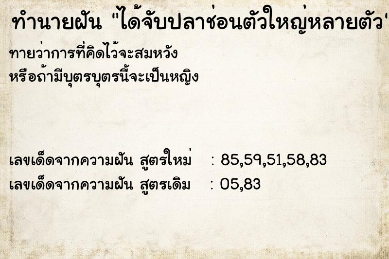 ทำนายฝันทำนายฝันได้จับปลาช่อนตัวใหญ่หลายตัว