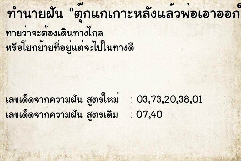 ทำนายฝันตุ๊กแกเกาะหลังแล้วพ่อเอาออกให้ ทำนายฝันทำนายฝันตุ๊กแกเกาะหลังแล้วพ่อเอาออกให้