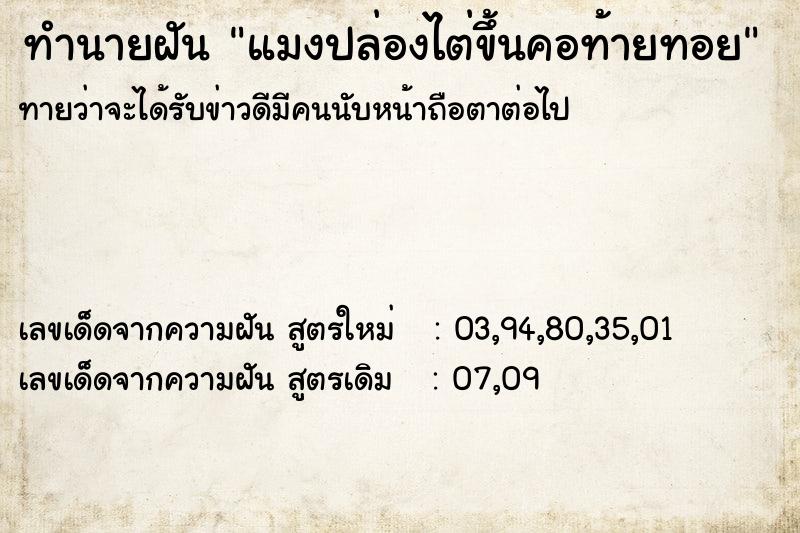 ทำนายฝันทำนายฝันแมงปล่องไต่ขึ้นคอท้ายทอย