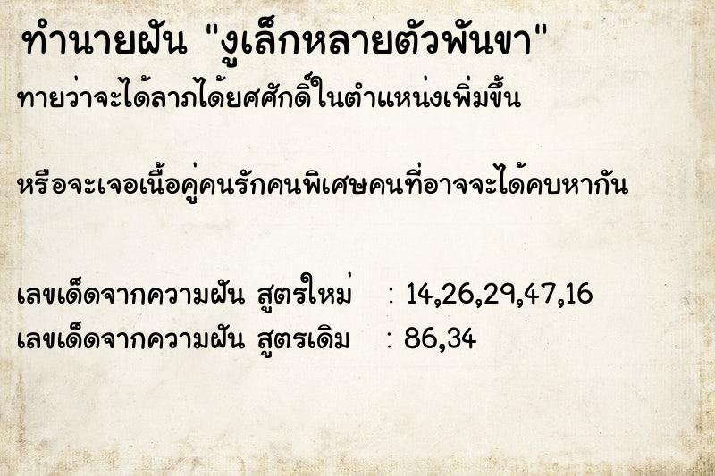 ทำนายฝันงูเล็กหลายตัวพันขา ทำนายฝันทำนายฝันงูเล็กหลายตัวพันขา