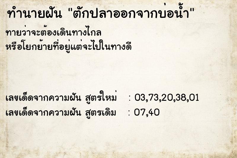 ทำนายฝันตักปลาออกจากบ่อน้ำ ทำนายฝันทำนายฝันตักปลาออกจากบ่อน้ำ