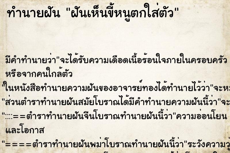 ทำนายฝันฝันเห็นขี้หนูตกใส่ตัว ทำนายฝันทำนายฝันฝันเห็นขี้หนูตกใส่ตัว