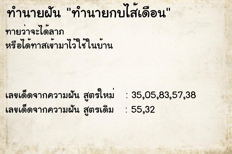 ทำนายฝันทำนายฝันทำนายกบไส้เดือน
