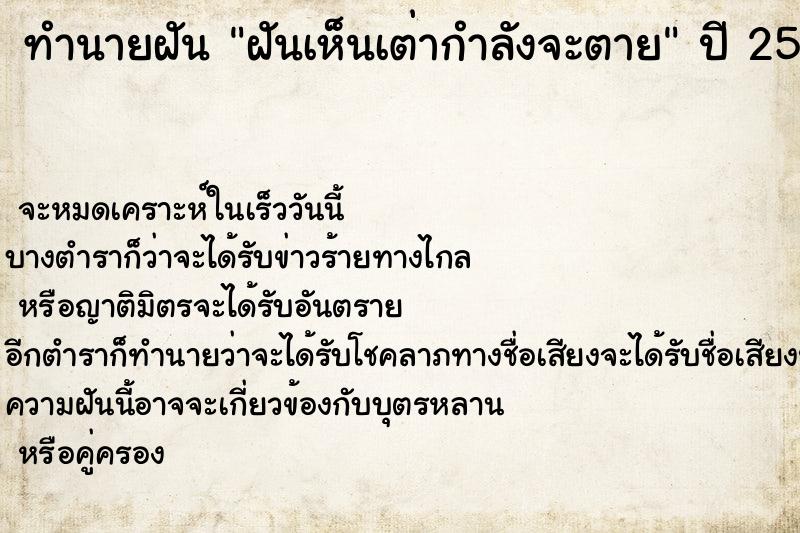 ทำนายฝันฝันเห็นเต่ากำลังจะตาย ทำนายฝันทำนายฝันฝันเห็นเต่ากำลังจะตาย