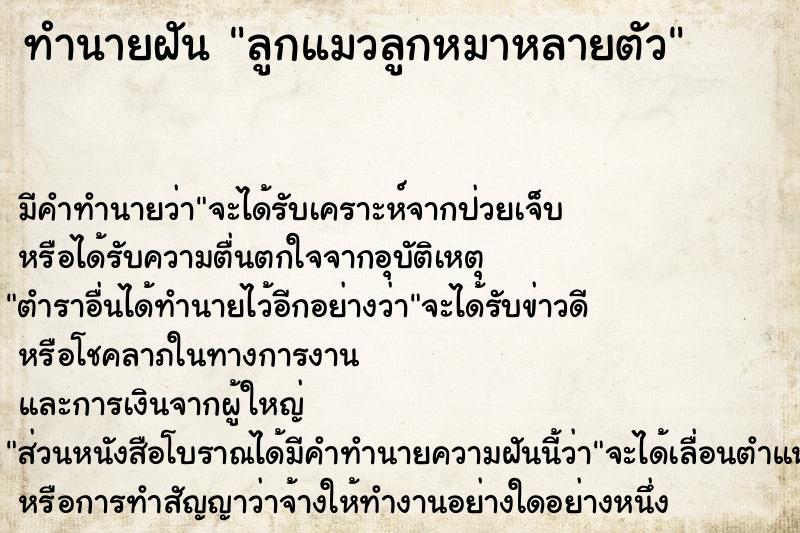 ทำนายฝันทำนายฝันลูกแมวลูกหมาหลายตัว