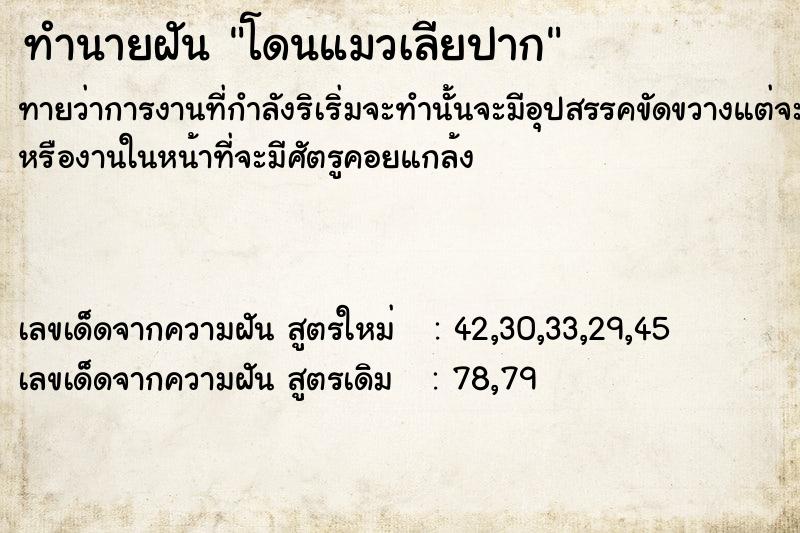 ทำนายฝัน โดนแมวเลียปาก ทำนายฝัน โดนแมวเลียปาก