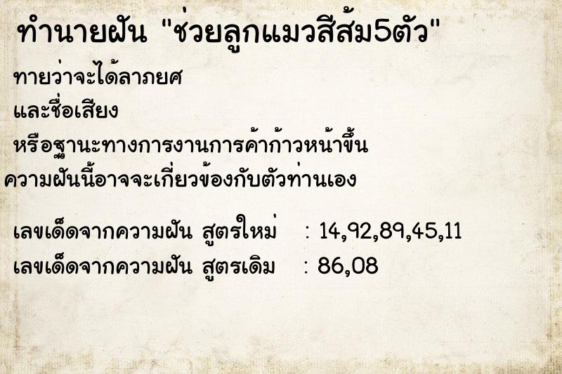 ทำนายฝันช่วยลูกแมวสีส้ม5ตัว ทำนายฝันทำนายฝันช่วยลูกแมวสีส้ม5ตัว