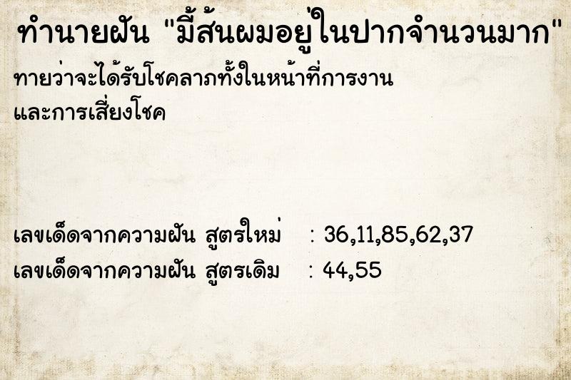 ทำนายฝันมี้ส้นผมอยู่ในปากจำนวนมาก ทำนายฝันทำนายฝันมี้ส้นผมอยู่ในปากจำนวนมาก