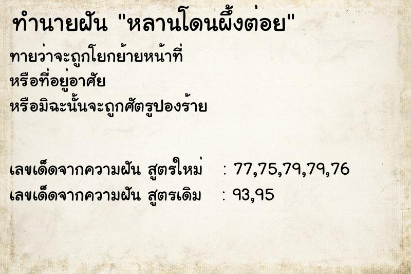 ทำนายฝันหลานโดนผึ้งต่อย ทำนายฝันทำนายฝันหลานโดนผึ้งต่อย
