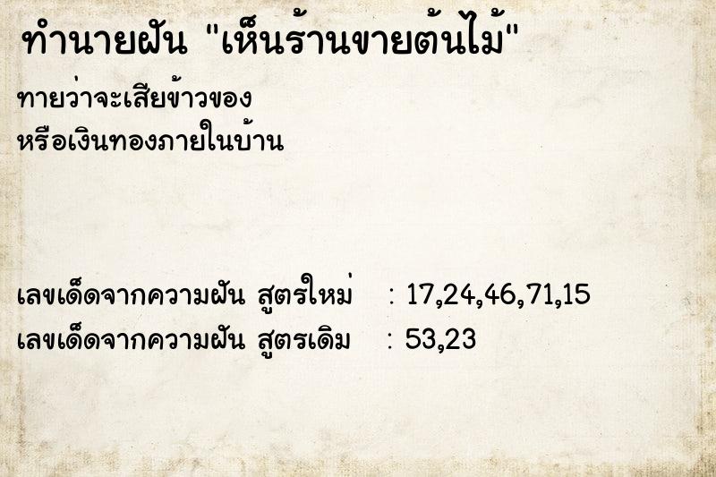 ทำนายฝัน เห็นร้านขายต้นไม้ ทำนายฝัน เห็นร้านขายต้นไม้