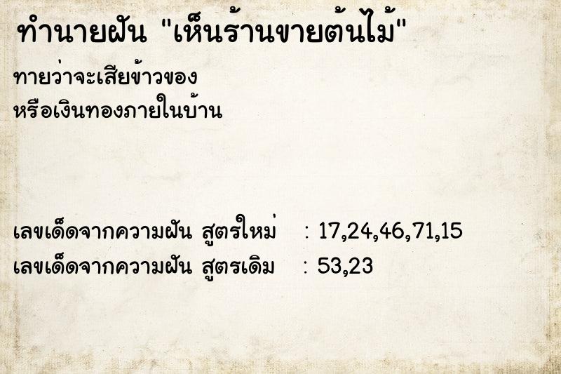 ทำนายฝัน เห็นร้านขายต้นไม้ ตำราโบราณ แม่นที่สุดในโลก