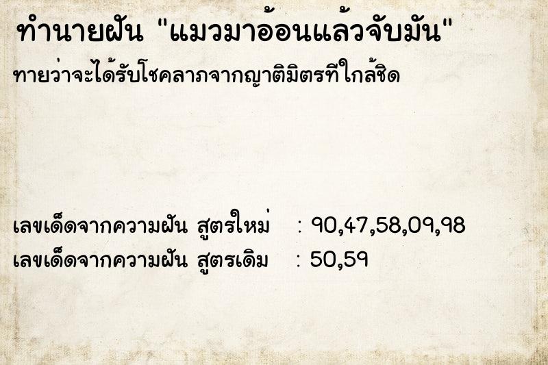 ทำนายฝันทำนายฝันแมวมาอ้อนแล้วจับมัน