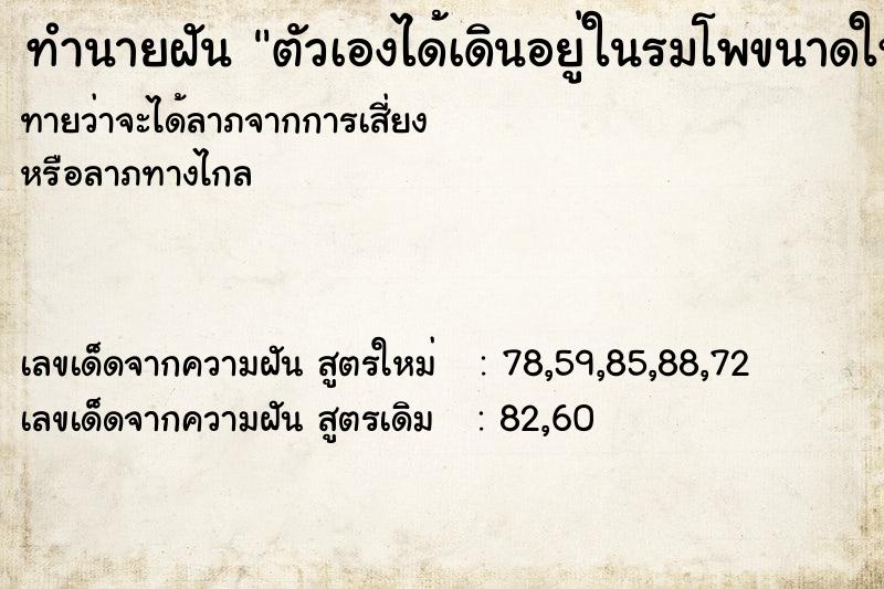 ทำนายฝันตัวเองได้เดินอยู่ในรมโพขนาดใหญ่ ทำนายฝันทำนายฝันตัวเองได้เดินอยู่ในรมโพขนาดใหญ่