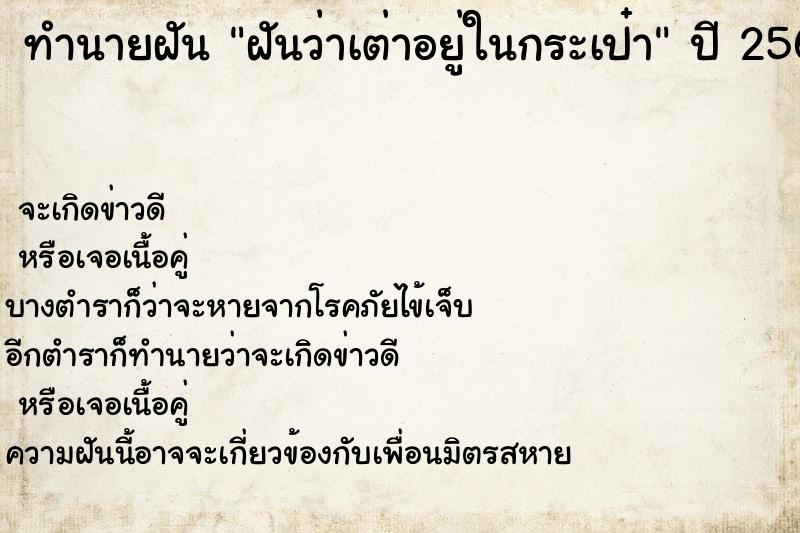 ทำนายฝันฝันว่าเต่าอยู่ในกระเป๋า ทำนายฝันทำนายฝันฝันว่าเต่าอยู่ในกระเป๋า