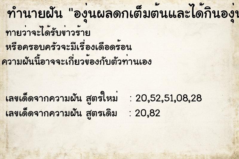 ทำนายฝันองุ่นผลดกเต็มต้นและได้กินองุ่นต้นนี้ด้วย ทำนายฝันทำนายฝันองุ่นผลดกเต็มต้นและได้กินองุ่นต้นนี้ด้วย