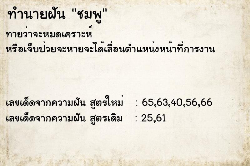 ทำนายฝัน ชมพู ทำนายฝัน ชมพู
