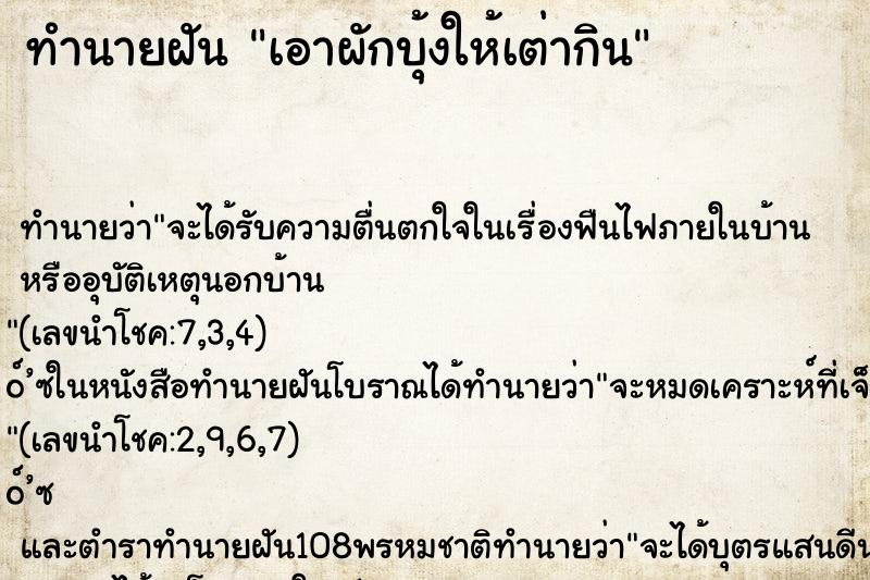 ทำนายฝัน เอาผักบุ้งให้เต่ากิน