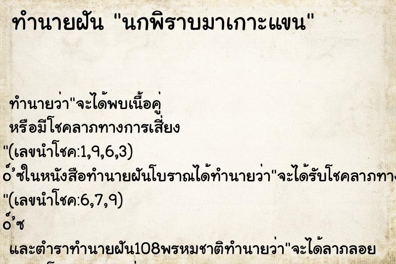 ทำนายฝัน นกพิราบมาเกาะแขน ทำนายฝัน นกพิราบมาเกาะแขน