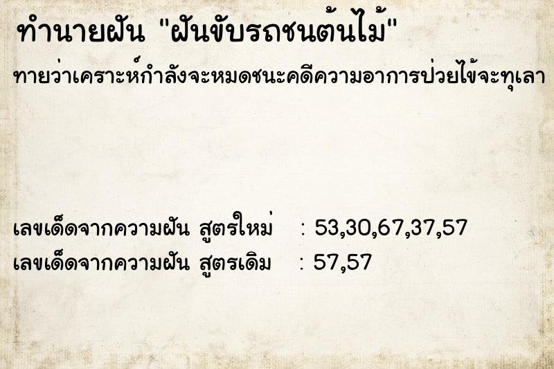 ทำนายฝันทำนายฝันฝันขับรถชนต้นไม้