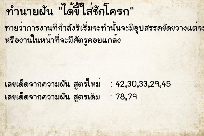 ทำนายฝันทำนายฝันได้ขี้ใส่ชักโครก