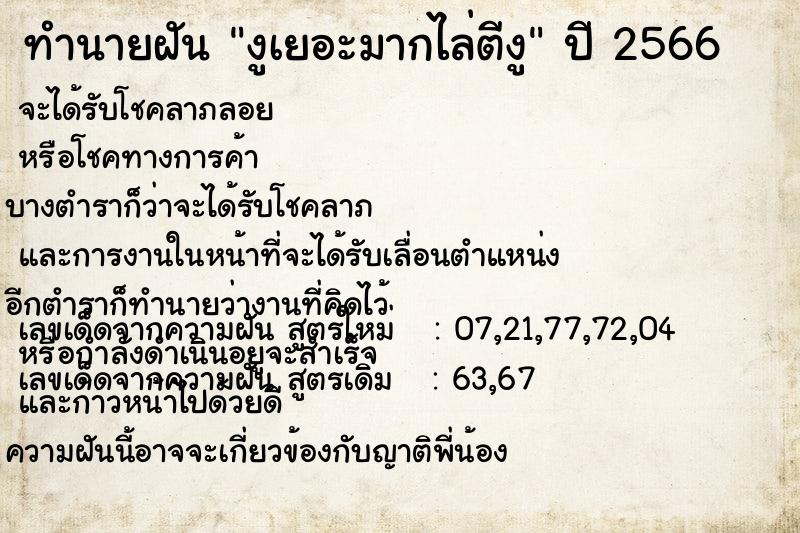 ทำนายฝันทำนายฝันงูเยอะมากไล่ตีงู