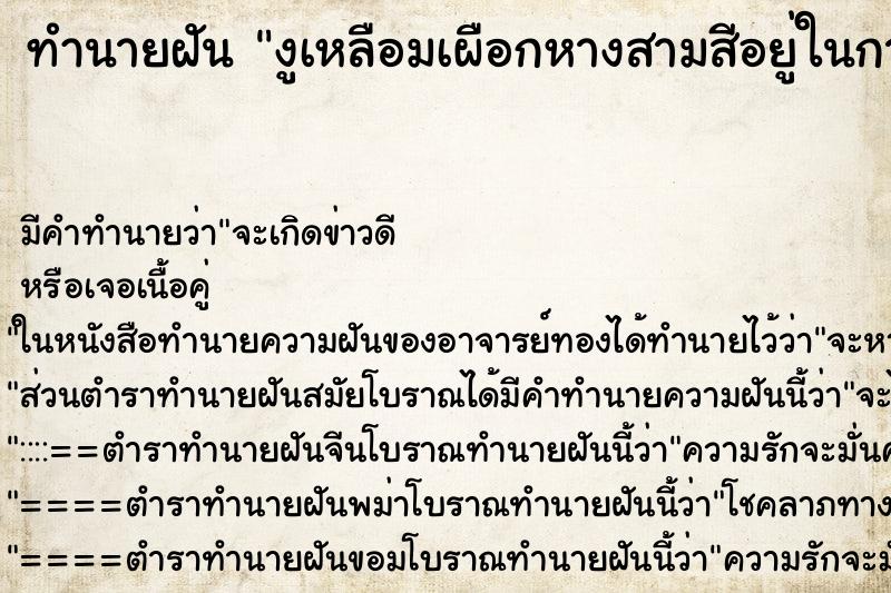 ทำนายฝันทำนายฝันงูเหลือมเผือกหางสามสีอยู่ในกางเกง