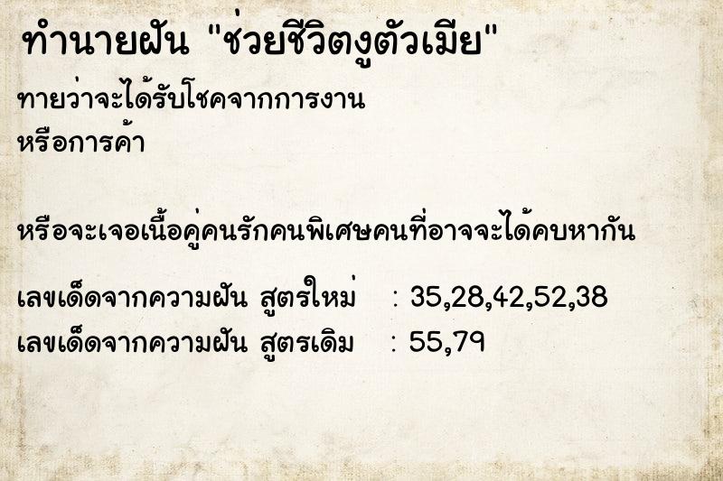 ทำนายฝันช่วยชีวิตงูตัวเมีย ทำนายฝันทำนายฝันช่วยชีวิตงูตัวเมีย