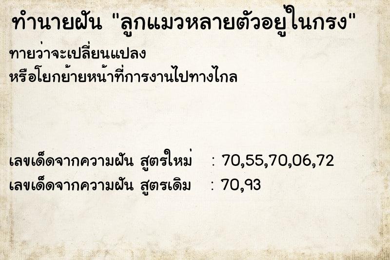 ทำนายฝันลูกแมวหลายตัวอยู่ในกรง ทำนายฝันทำนายฝันลูกแมวหลายตัวอยู่ในกรง