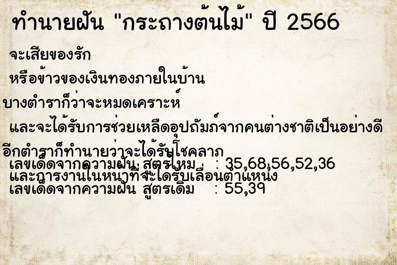 ทำนายฝัน กระถางต้นไม้ ทำนายฝัน กระถางต้นไม้