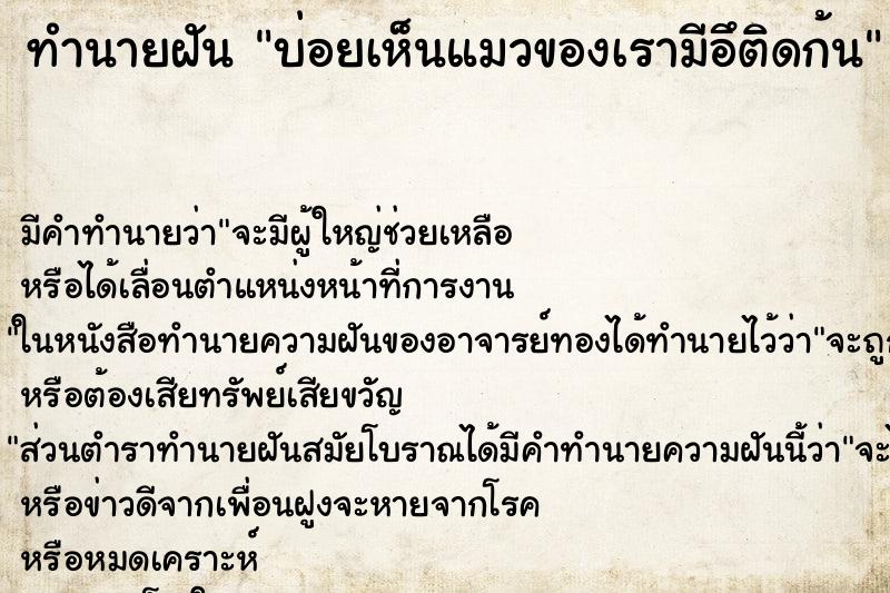 ทำนายฝันทำนายฝันบ่อยเห็นแมวของเรามีอึติดก้น