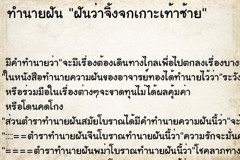 ทำนายฝัน ฝันว่าจิ้งจกเกาะเท้าซ้าย ทำนายฝัน ฝันว่าจิ้งจกเกาะเท้าซ้าย