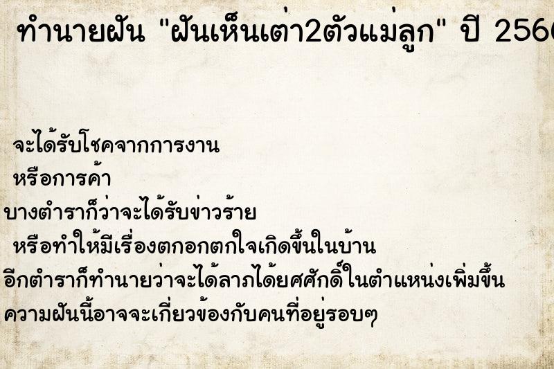 ทำนายฝันทำนายฝันฝันเห็นเต่า2ตัวแม่ลูก