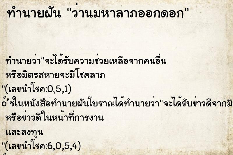 ทำนายฝันว่านมหาลาภออกดอก ทำนายฝันทำนายฝันว่านมหาลาภออกดอก
