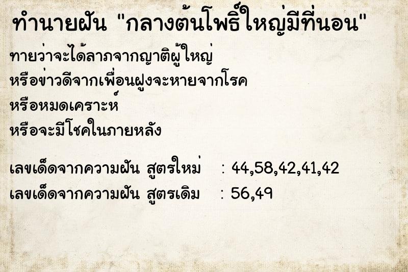 ทำนายฝันทำนายฝันกลางต้นโพธิ์ใหญ่มีที่นอน