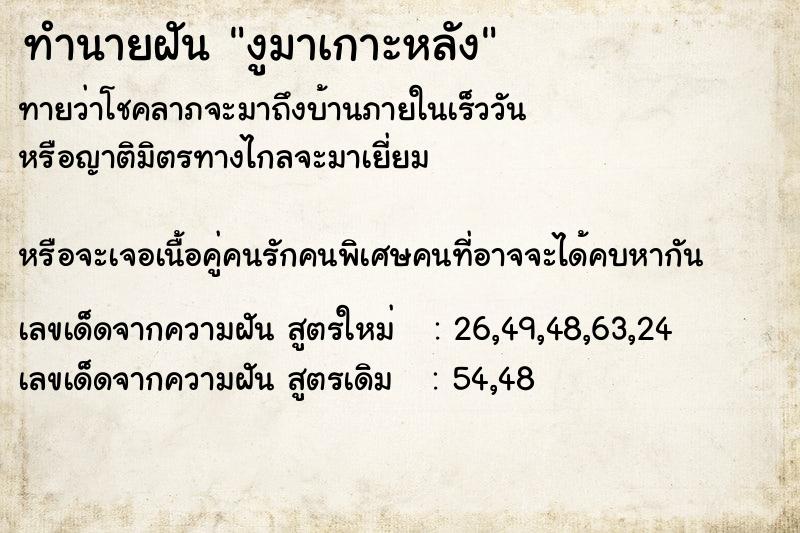 ทำนายฝันทำนายฝันงูมาเกาะหลัง