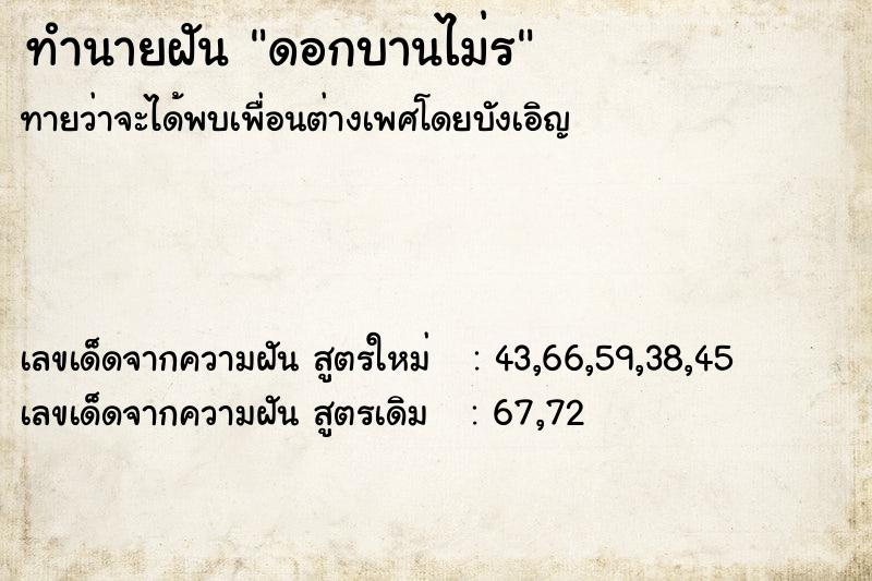 ทำนายฝันทำนายฝันดอกบานไม่ร