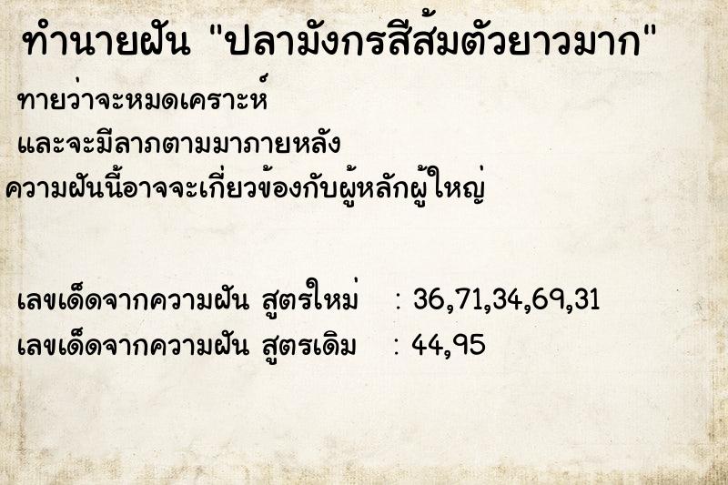 ทำนายฝันทำนายฝันปลามังกรสีส้มตัวยาวมาก