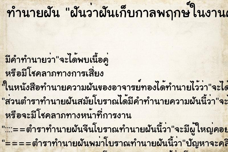 ทำนายฝันทำนายฝันฝันว่าฝันเก็บกาลพฤกษ์ในงานศพได่มากมาย