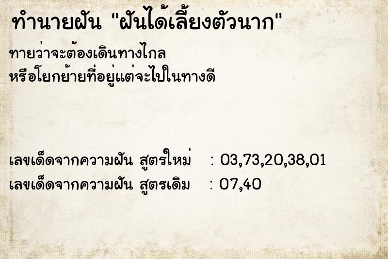 ทำนายฝันทำนายฝันฝันได้เลี้ยงตัวนาก