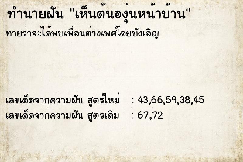 ทำนายฝันทำนายฝันเห็นต้นองุ่นหน้าบ้าน