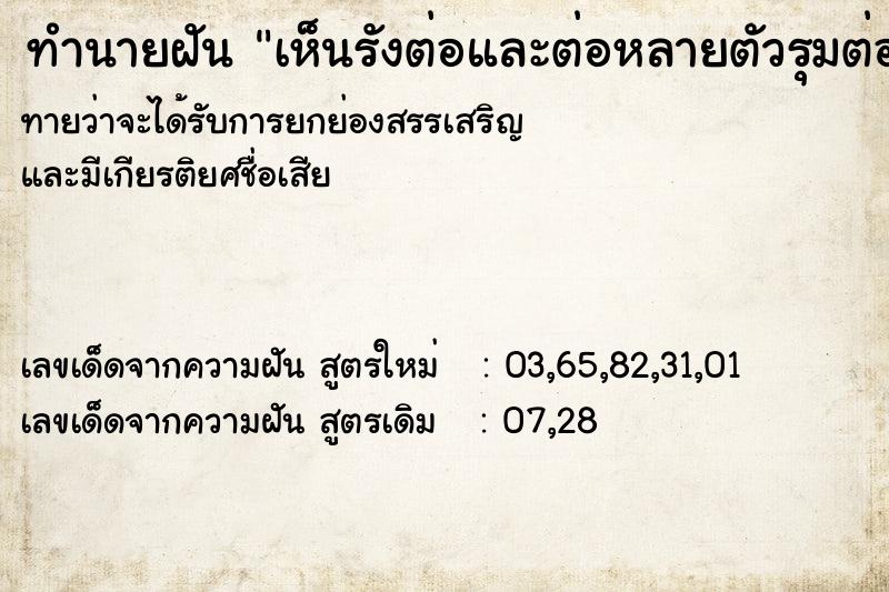 ทำนายฝันทำนายฝันเห็นรังต่อและต่อหลายตัวรุมต่อยหน้า