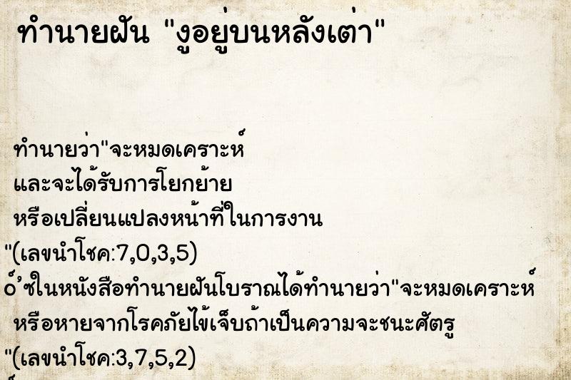 ทำนายฝัน งูอยู่บนหลังเต่า