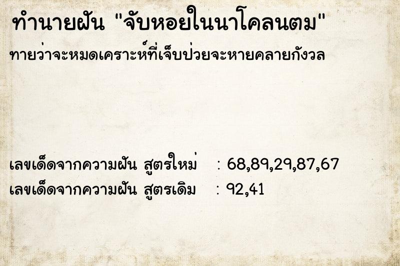 ทำนายฝันจับหอยในนาโคลนตม ทำนายฝันทำนายฝันจับหอยในนาโคลนตม