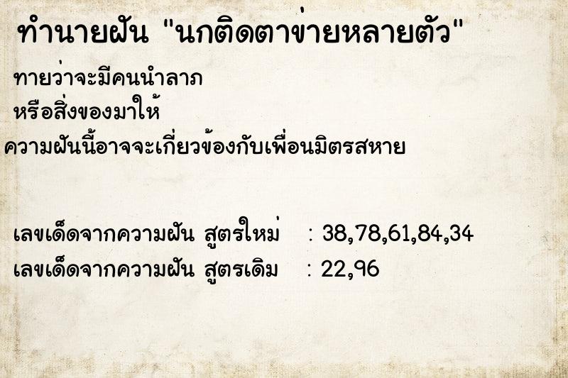 ทำนายฝันทำนายฝันนกติดตาข่ายหลายตัว