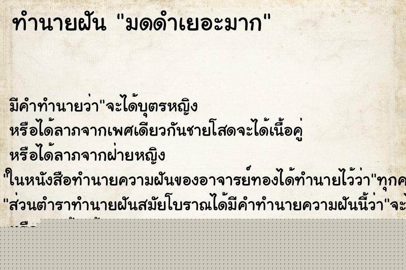 ทำนายฝันทำนายฝันมดดำเยอะมาก