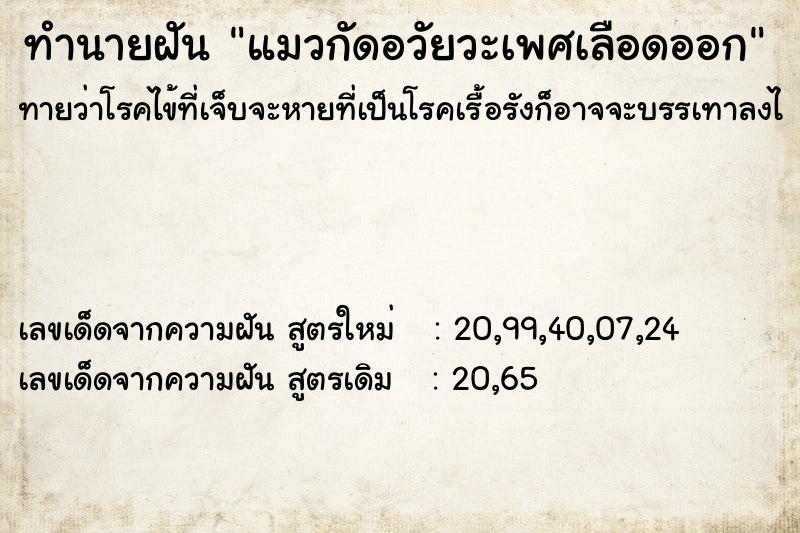 ทำนายฝันแมวกัดอวัยวะเพศเลือดออก ทำนายฝันทำนายฝันแมวกัดอวัยวะเพศเลือดออก