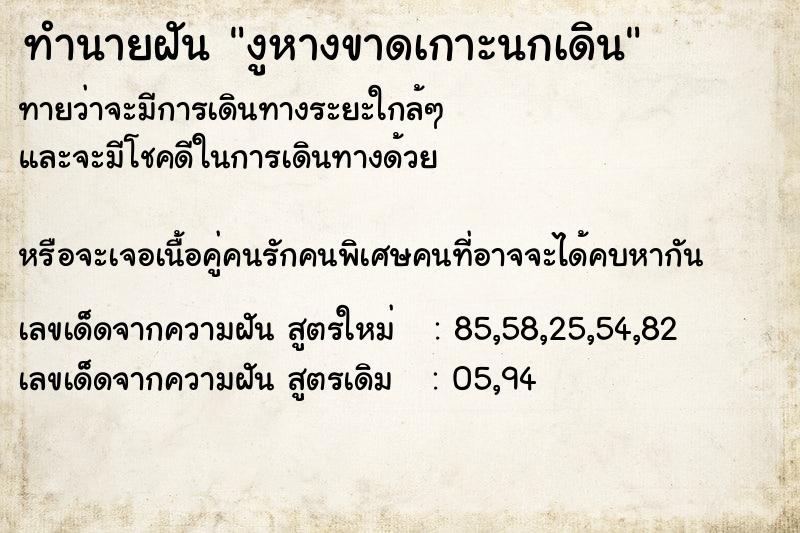 ทำนายฝันงูหางขาดเกาะนกเดิน ทำนายฝันทำนายฝันงูหางขาดเกาะนกเดิน