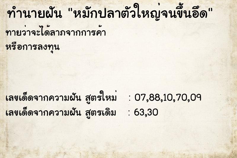 ทำนายฝันทำนายฝันหมักปลาตัวใหญ่จนขึ้นอึด